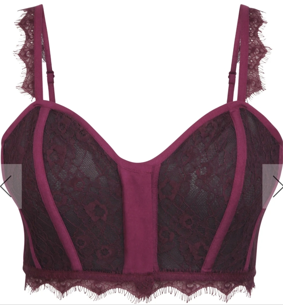 Marjorie Potent Purple Viscose and Lace Corseted Bralette